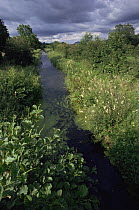 Stream / dyke created for drainage Southern England, summer UK