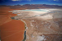 Lago Colorado at 4200 m in Andes, Bolivia. Dinoflagellates (red) and mineral salts (white).
