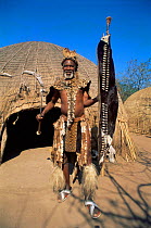 Zulu chief wearing animal skins outside hut. Simunye Zulu Lodge. South Africa