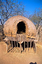 Zulu hut on stilts for storing crops. Simunye Zulu Lodge, South Africa