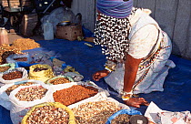 Zulu healer, sangoma, at Durban herbal medicine market, Kwazulu-Natal, South Africa