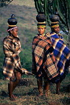 Zulu women carrying water on their heads, Kwazulu-Natal, South Africa