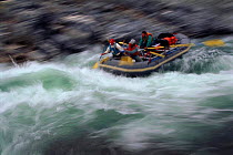 Ecotourists whitewater rafting on the Firth River, Ivvavik NP, Yukon, Canada
