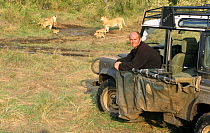 Simon King with African lion pride and cubs (Panthera leo) during Big Cat Diary series filming, Masai Mara NR, Kenya