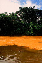 Black water meeting white water in Madre de Dios river, Peru.