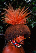 Huli wigman with feathers of Bird of Paradise. Papua New Guinea. 1990.