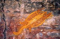 Aboriginal rock painting of Long necked turtle, Ubirr, Kakadu NP, Northern Territory, Australia