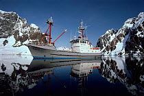 Research and filming boat 'Abel-J' in LeMaire Channel, Antarctica