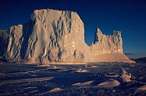 Iceberg frozen into sea ice off Signy Island, Antarctica.