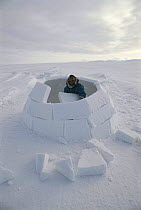 Inuit building igloo Admiralty inlet, Baffin Is, Canada Isaac Shooyuk. Sequence