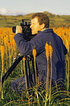 Cameraman Tim Shepherd on location in South Africa, filming Bulbinellas for BBC television programme "Private Life of Plants", 1994
