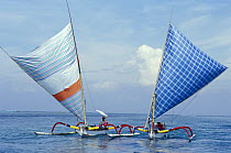 Two Balinese sailing outriggers, Bali, Indonesia 1995