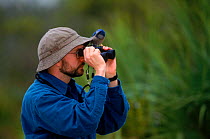 Scrub jay {Aphelocoma coerulescens} on birdwatcher's binoculars, Florida, USA