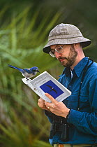Scrub jay {Aphelocoma coerulescens} on birdwatcher's reference book, Florida, USA