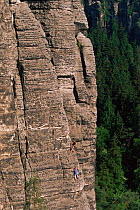 Rock climbers on cliff face, Saxony, Germany