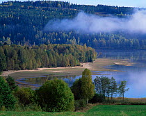 Mist above broadleaf woodlands surrounding shoreline of Lake Rotnen, Varmland, Sweden