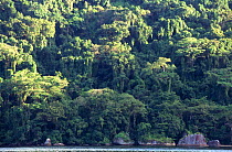 Lowland tropical rainforest borders the coast, Nosy Mangabe NP, Madagascar