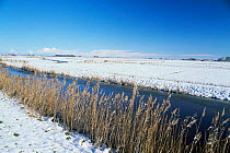 Reclaimed farmland (polders) with dyke in winter snow, Freisland, The Netherlands