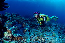 Giant clam and diver {Tridacna gigas} Indo-Pacific