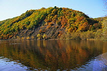 Autumn woodland along Birkin river, Primorskiy region, Ussuriland, Russia
