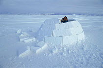Man building igloo on Baffin island, Admiralty Inlet, Canadian Arctic Sequence (Isaac Shooyuk)
