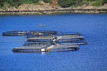 Salmon farm nets Loch Torridon, Highlands Scotland, UK