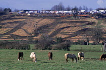 Alternative use of agricultural land. Motorcycle Moto X racing, with horses grazing in foreground, Gloucestershire, UK