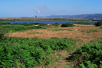 Kenfig National Nature Reserve with Fort Talbot chemical plant in distance, Wales