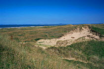 Coastal Kenfig National Nature Reserve with sand dune habitat, Mid Glamorgan, Wales