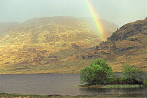 Rainbow during rain shower. Loch Arklet, Scotland, UK