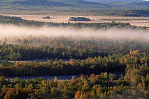 Morning mist above taiga forest in Autumn, Primorsky region, Far East Russia (Ussuriland).