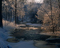 Peaceful winter river landscape, Immalven, Varmland, Sweden