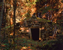 Old cellar in forest, Varmland, Sweden. Unused since 1950.