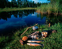 Camp fire meal prepared from regional foods. Sweden.