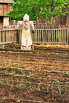 Scarecrow in cottage garden in Historic Park, Eagle, Wisconsin, USA