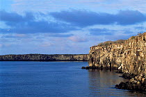 Darwin Bay landscape, Tower / Genovesa Island, Galapagos Islands.