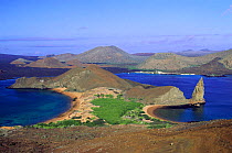 Landscape with Pinnacle Rock, Bartolome Island, Galapagos Islands