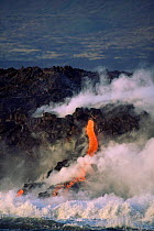 Erruption of parasitic cone, with lava flowing into sea Fernandina Island, Galapagos