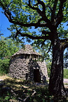 "Borie", traditional dry stone buiding, Forcalquier,   Provence, France