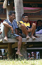 Men sitting at traditional Toraja house, Central Sulawesi, Indonesia 2000.