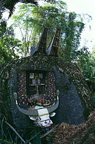 Grave with offerings, Tana Toraja, Central Sulawesi, Indonesia