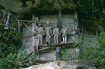 'Tau Tau' effigies, Tana Toraja, Central Sulawesi, Indonesia.