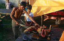 Dog meat, butcher cutting up dog in market to sell, South Sulawesi, Indonesia 2000.