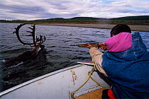 Boy about to shoot his first caribou {Rangifer tarandus}, Kobuk Valley NP, Alaska, USA
