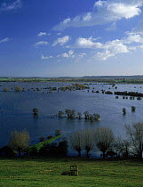 Flooded land at Southlakemoor, Somerset, UK .