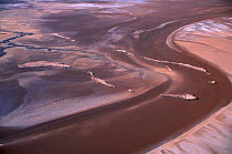 Aerial view of Salar de Uyuni salt flat sand bars and lakes, Bolivia, with flamingoes