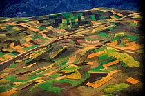 Aerial view - patchwork of arable fields, near Machu Picchu, Peru, South America