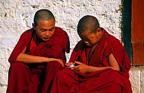 Two Buddhist monks looking at a watch, Dzongchung temple, Punakha dzong, Punakha, Bhutan.