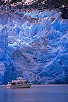 Tourist boat passing beneath face of Sawyer Glacier, Tracey Arm, South East Alaska, USA