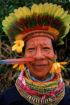 Cofan Indian man portrait in traditional feather head-dress. Amazonia Ecuador